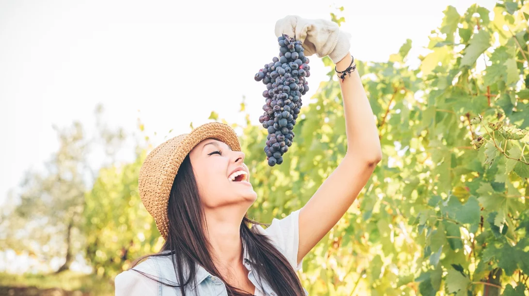 Nature's superpower: Τα φρούτα του δάσους και τα σταφύλια σύμμαχοι υγείας και της ομορφιάς