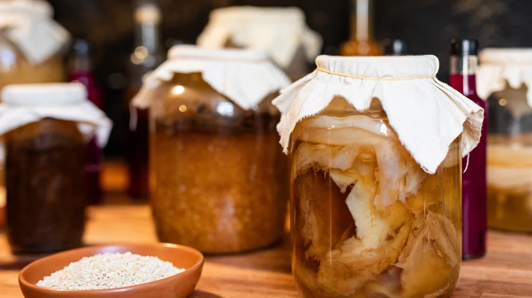 Kombucha vs κεφίρ: ποιο ζυμωμένο ποτό είναι καλύτερο για σένα;