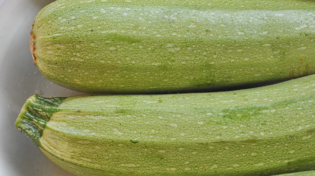 Κολοκυθάκια: Γιατί αξίζει να τα βάλεις στη διατροφή σου - Και ιδέες γευμάτων