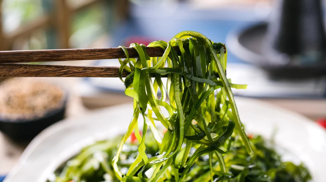 Φύκια: Τα απίστευτα οφέλη τους σύμφωνα με την επιστήμη