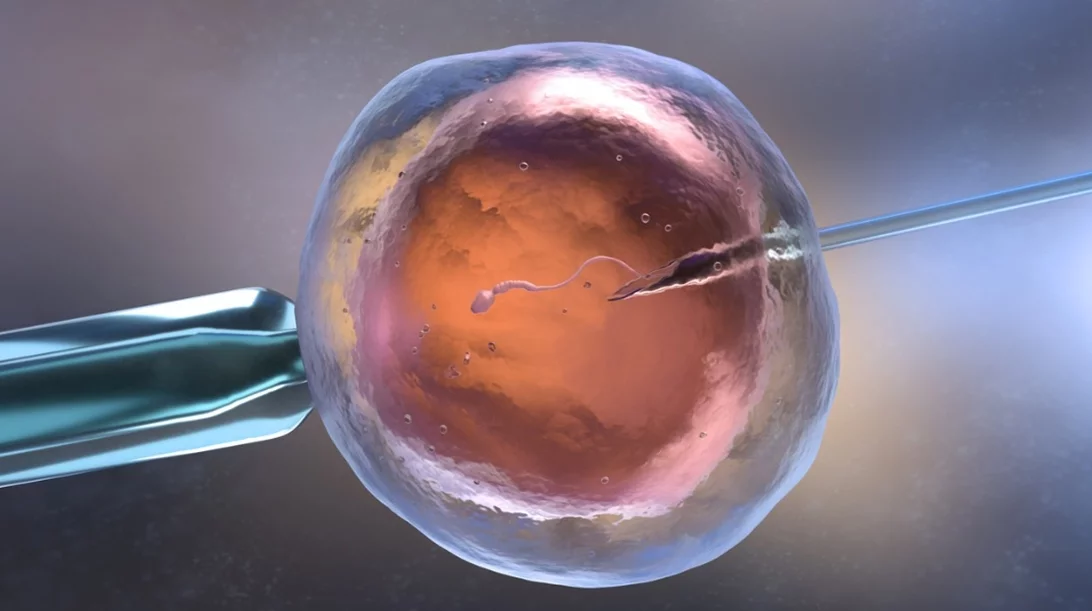 Μπορεί να συνδέονται οι θεραπείες υπογονιμότητας με τον καρκίνο;