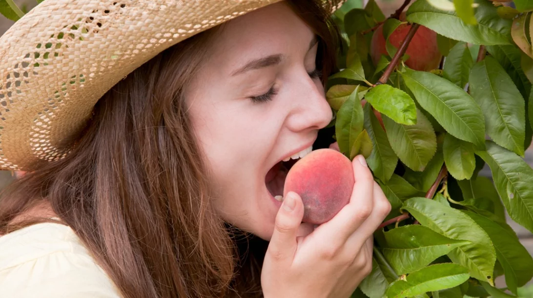 Αγαπάς τα ροδάκινα; Μάθε πώς τα φρούτα αυτά σε κάνουν πιο υγιή!