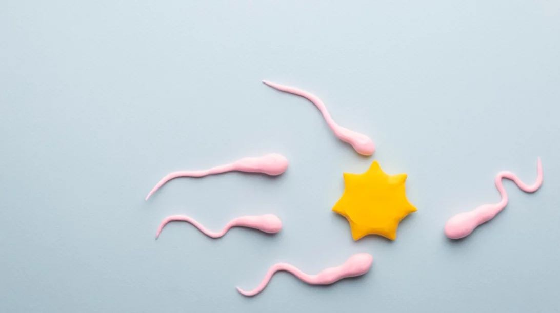 Εξωσωματική γονιμοποίηση: Πολλαπλές αποτυχίες εμφύτευσης του εμβρύου