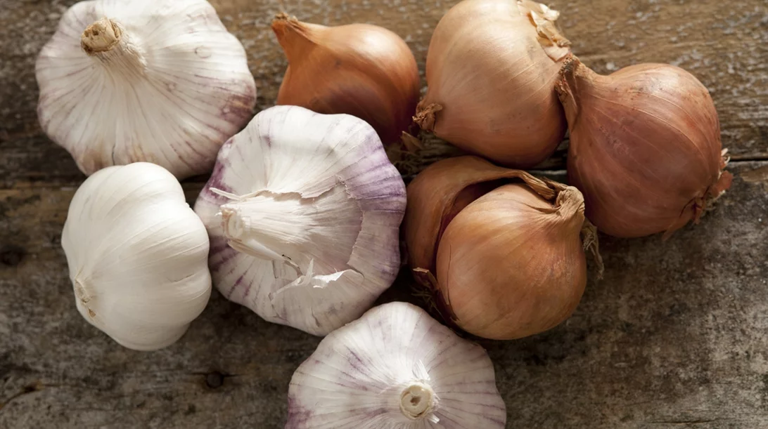 Σκόρδο ή κρεμμύδι; Μάθε τα οφέλη τους και δες ποιο σου ταιριάζει
