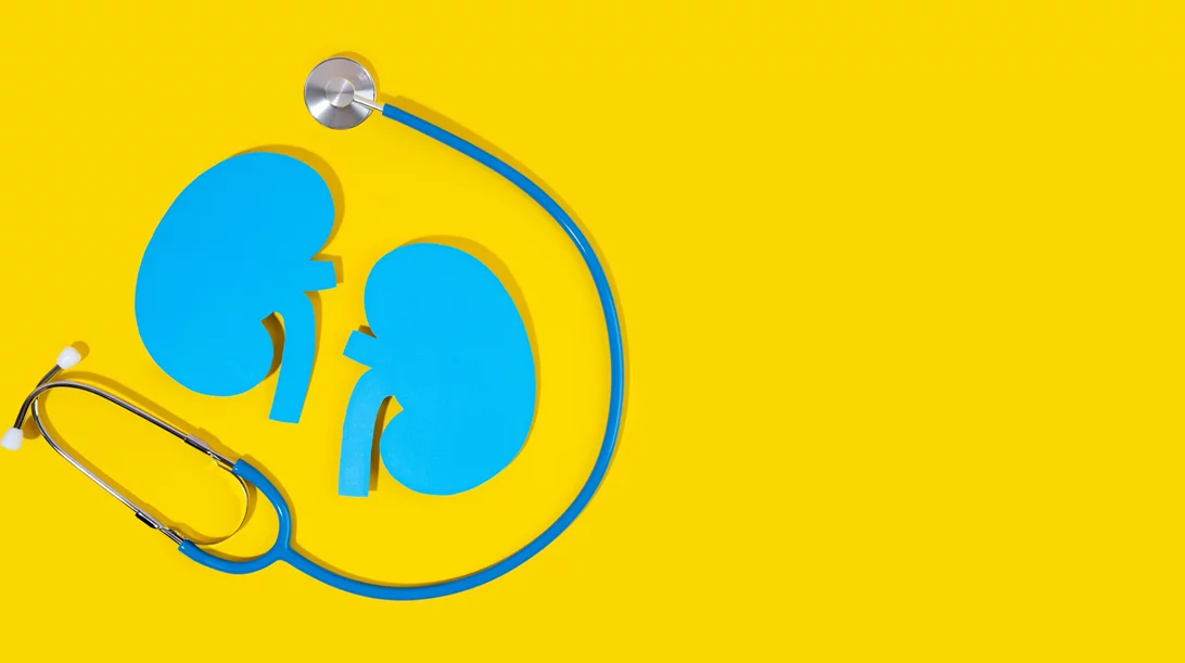 5 τρόποι να προστατέψεις τα νεφρά σου από τη ζέστη