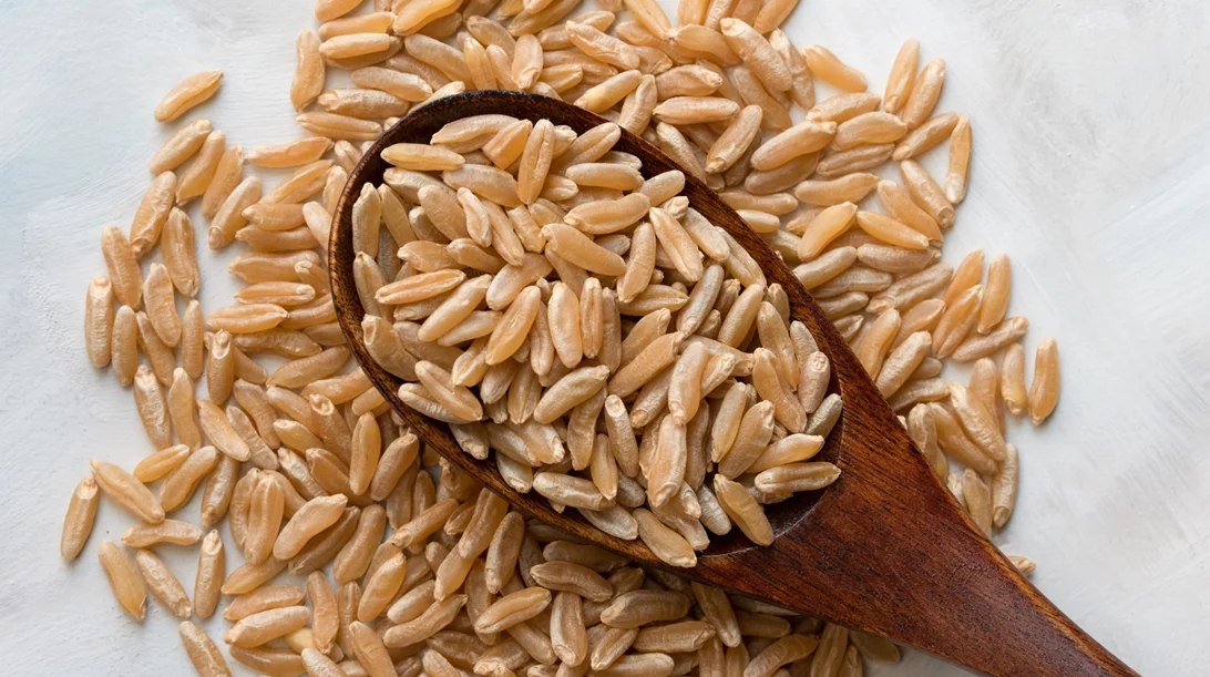 Αυτό το δημητριακό έχει περισσότερη πρωτεΐνη από όλα τα άλλα και πιθανόν να μην το έχεις ξανακούσει