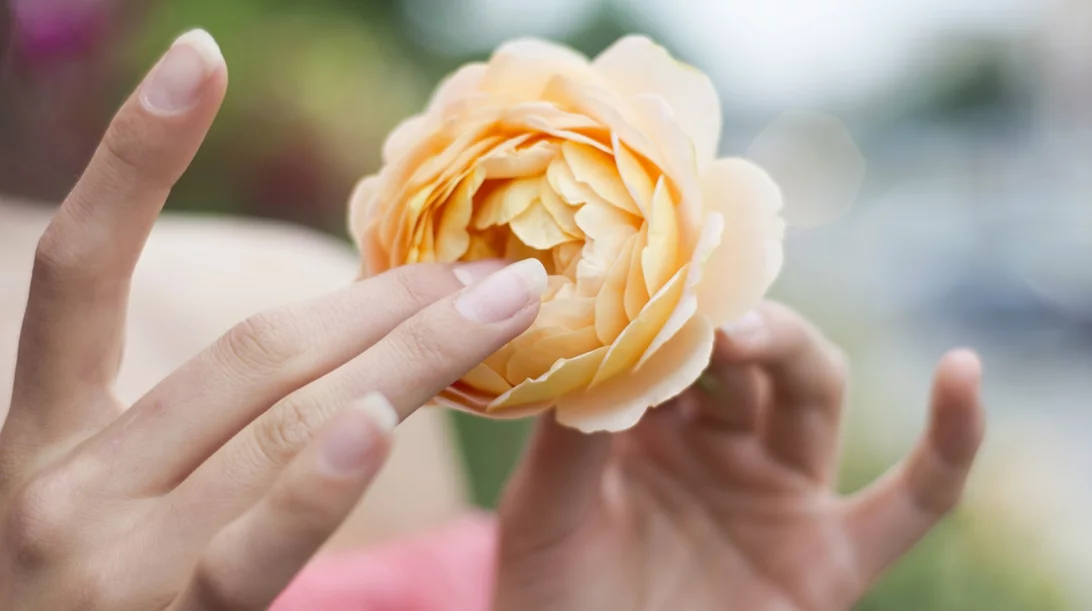 Γιατί η αυτοϊκανοποίηση είναι σημαντική - Ακόμα και σε σχέση