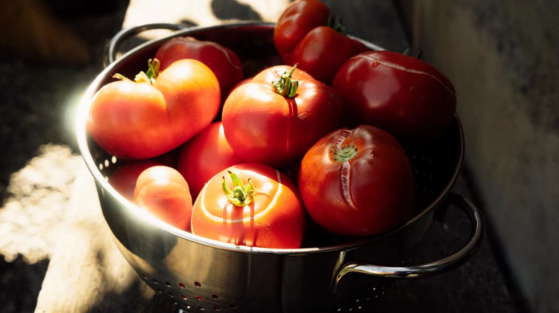 Γιατί η ντομάτα αξίζει μια θέση στη διατροφή σου;