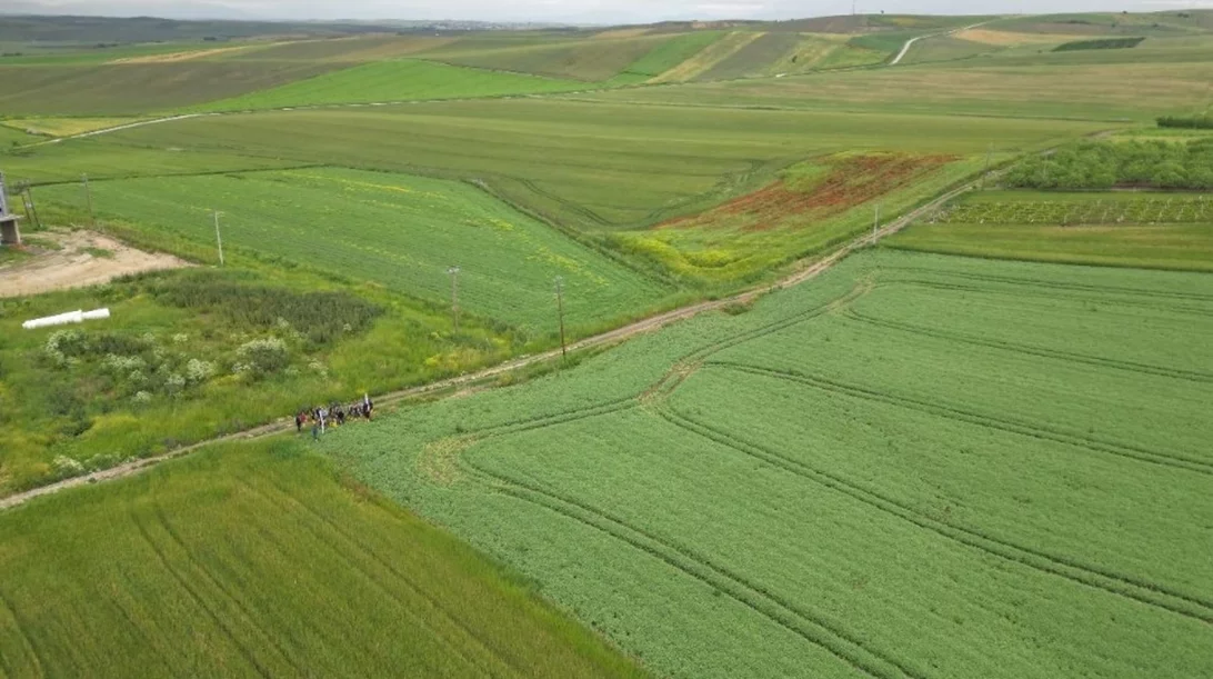 Ανακαλύψαμε το μυστικό της θρέψης στη γη των ελληνικών οσπρίων