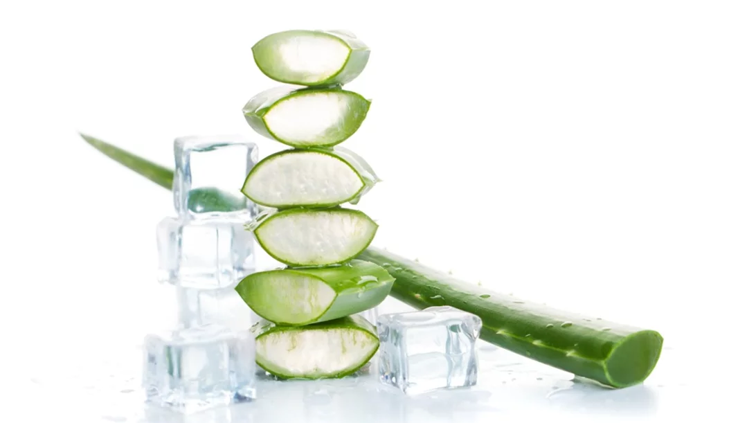 Τα παγάκια με αλόη θα σε σώσουν φέτος το καλοκαίρι!