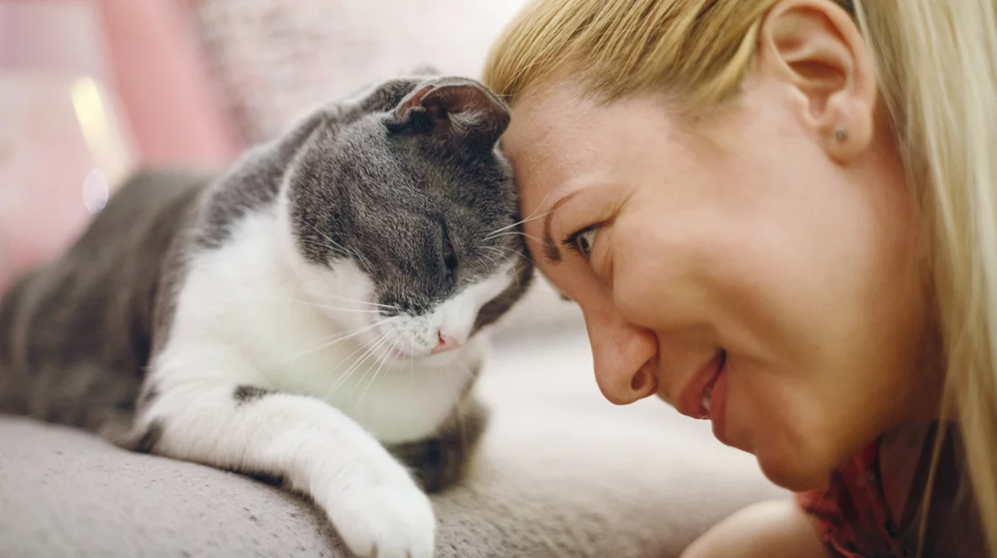 Τελικά οι γάτες κάνουν καλό στην υγεία μας;