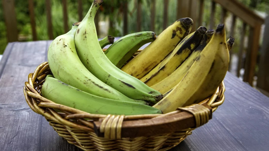 Δεν είναι μπανάνες, είναι πλατέινς! Τι είναι αυτό;