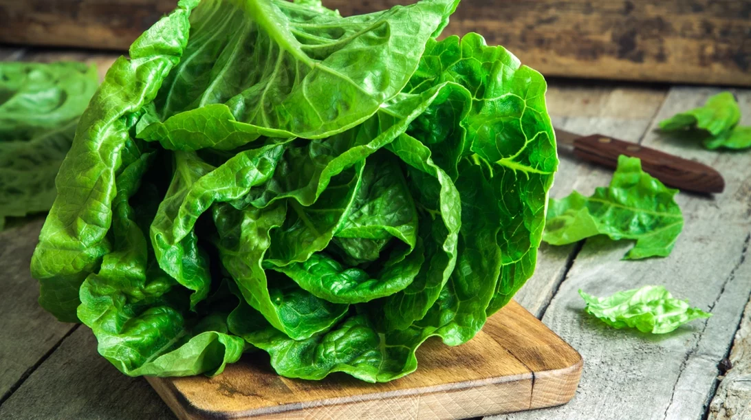 Μαρούλι, σπανάκι και σαλάτες σε σακουλάκι: Πόσο ασφαλή είναι, ακόμα κι αν τα πλύνεις;