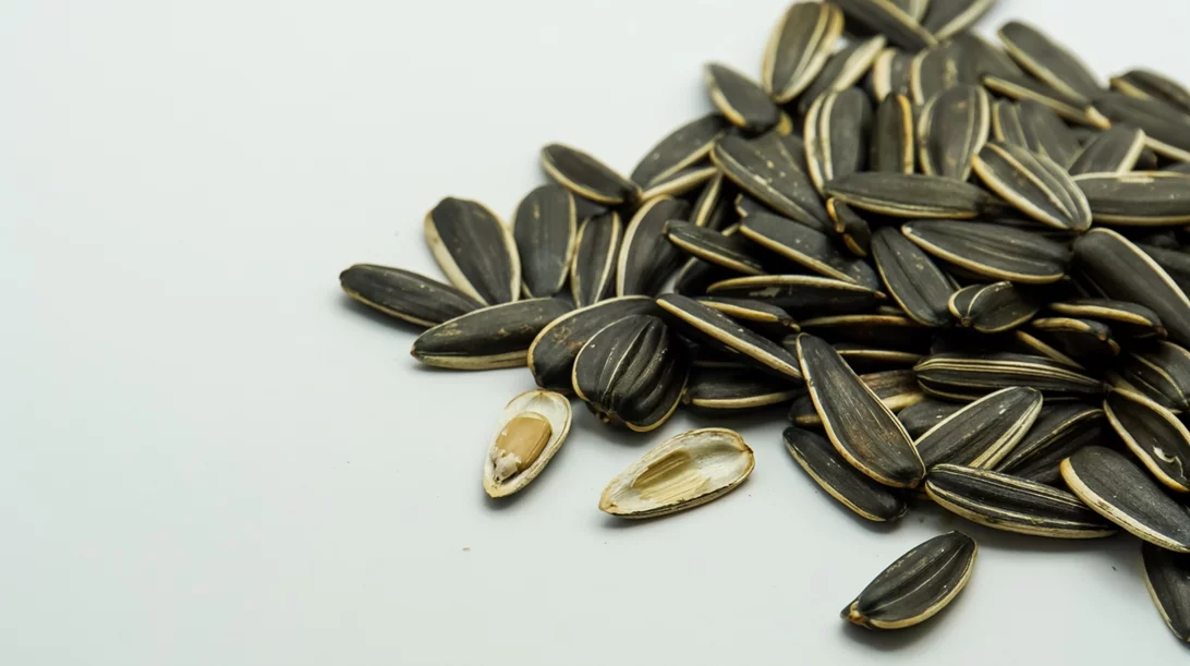 Ηλιόσπορος: 8 λόγοι για να αγαπήσεις αυτόν το σπόρο