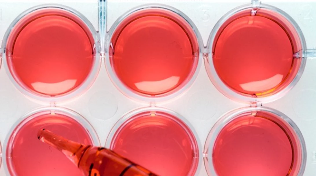 Χορήγηση πλάσματος ως θεραπεία για τον κορονοϊό: Την έγκρισή της ανακοίνωσε ο Ντόναλντ Τραμπ