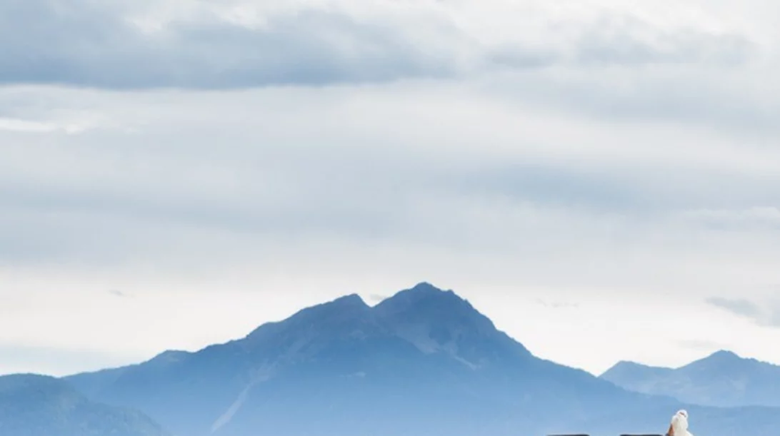 Γιατί νευριάζεις όταν οδηγείς; Η απάντηση βρίσκεται στις ορμόνες!