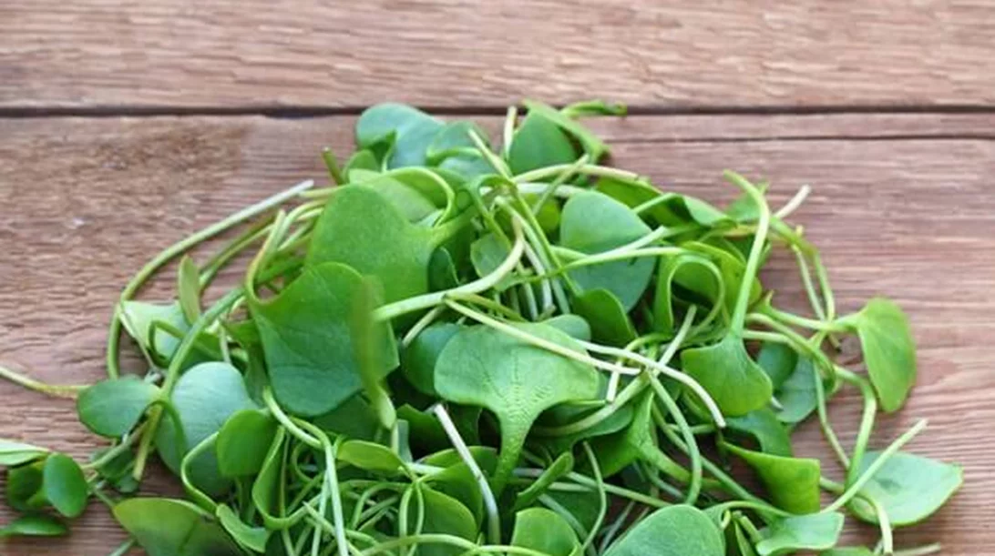 Νεροκάρδαμο για υγιή μαλλιά; Δες και τις 10 τροφές για δυνατά, μακριά μαλλιά!