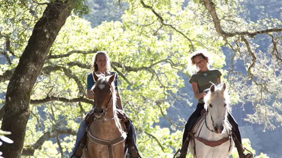 Έχεις δοκιμάσει ιππασία; Δες πού θα κάνεις και τι σου προσφέρει