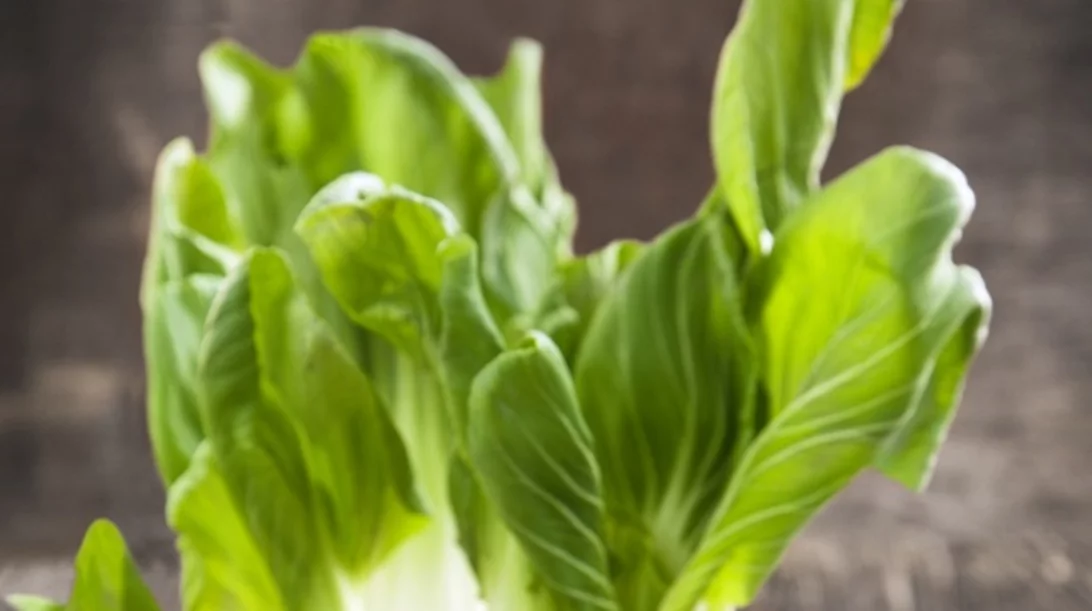 Οι 18 τροφές για μακροζωία: Δες τη λίστα που προτείνει νέα έρευνα!