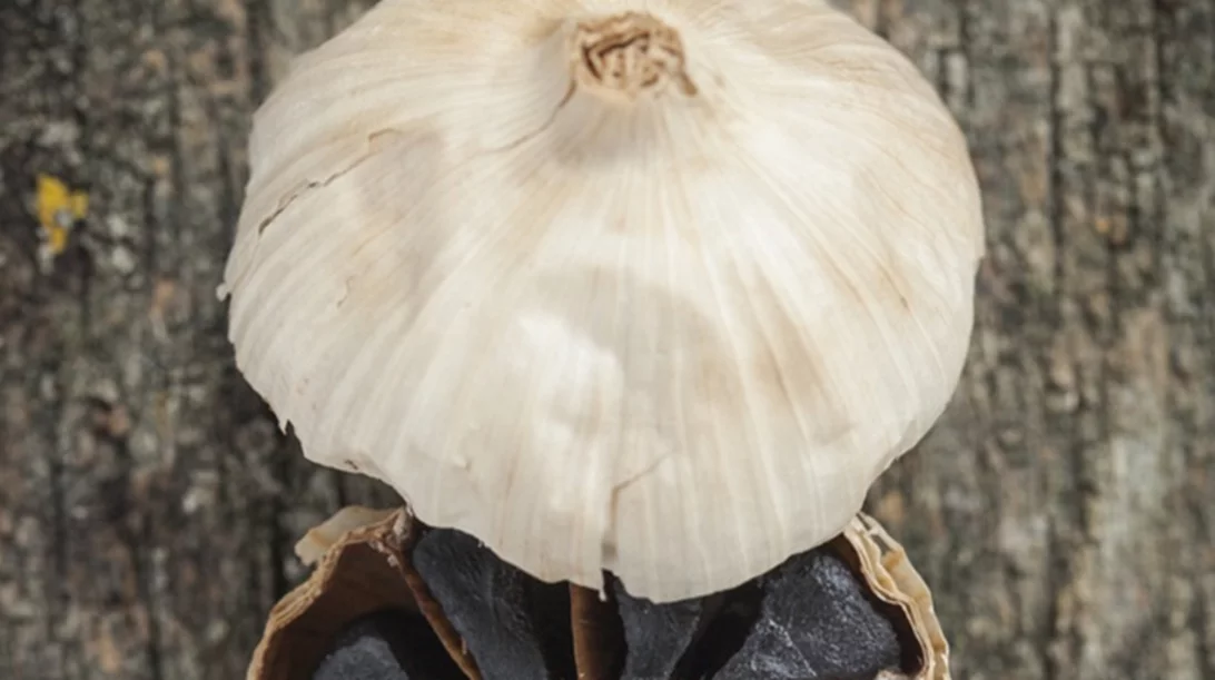 Οι νέες υπερτροφές που πρέπει να τρως είναι ΜΑΥΡΕΣ! Τις δοκίμασες;