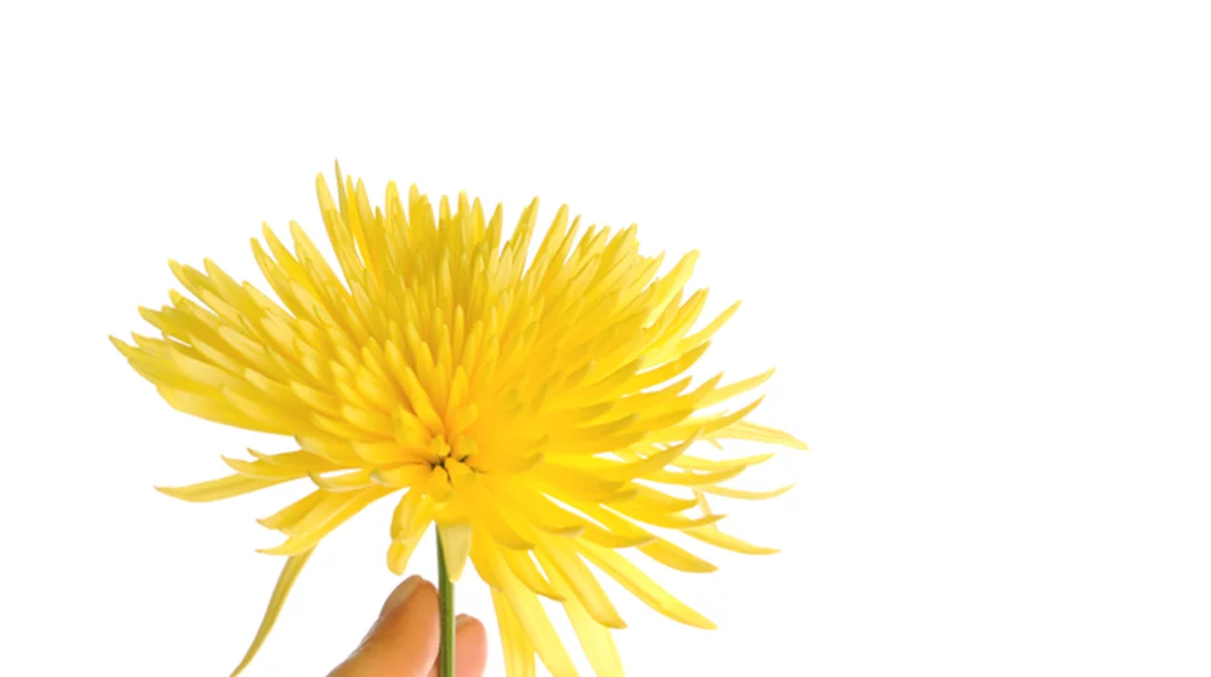 Ξέρεις τι είναι το σκληρόδερμα; Μάθε τα πάντα για τη νόσο που προτιμά τις γυναίκες!