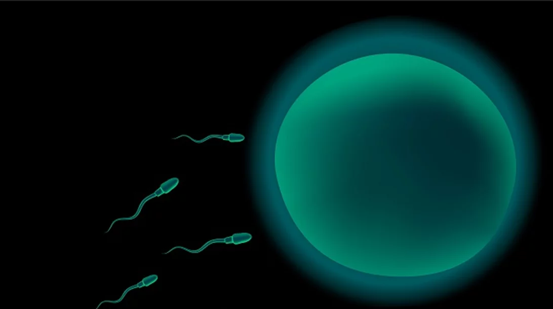 Σπερματέγχυση: Η προσιτή λύση πριν την εξωσωματική