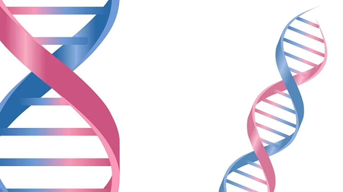 Ένα βήμα πιο κοντά στα «έξυπνα» φάρμακα οι επιστήμονες