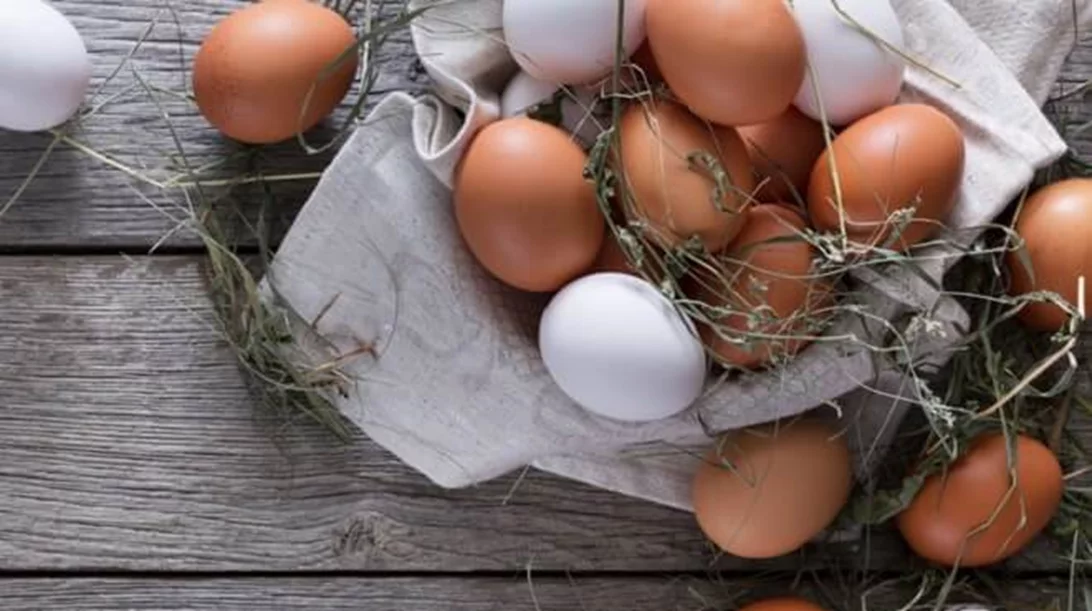 Υψηλή χοληστερίνη και διατροφή: Τι πρέπει να ξέρεις