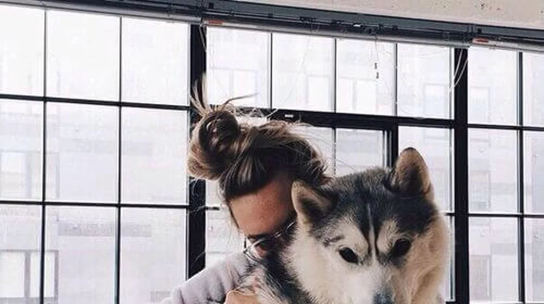 7 πράγματα που δε ξέρεις για το κατοικίδιο σου