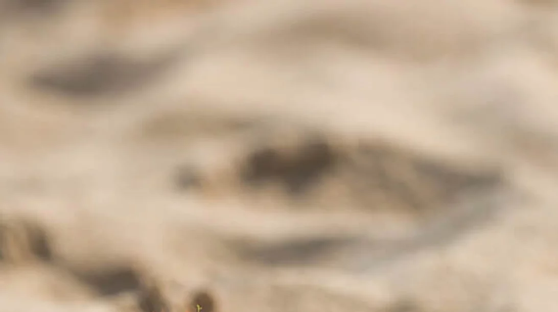 Τα καλοκαιρινά αθλήματα που αγαπά η fitness editor