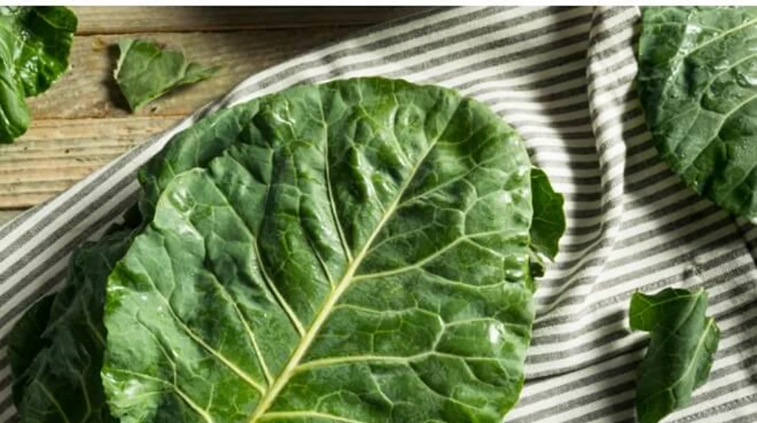 Τρως kale; Οι 5 πιο συχνοί τύποι της λαχανίδας και πώς να τους καταναλώσεις καλύτερα