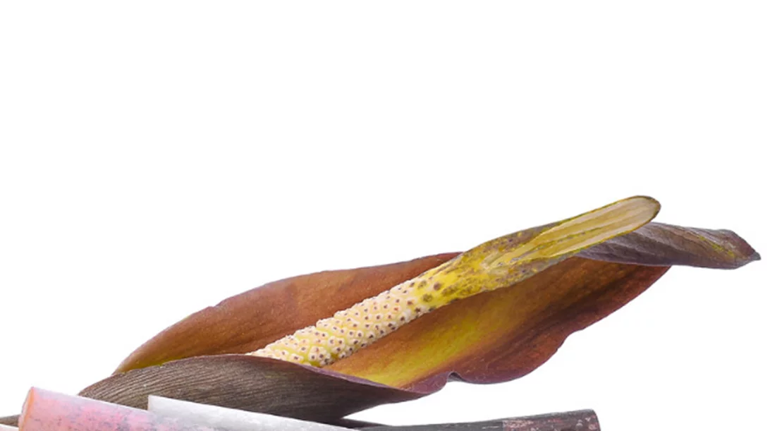 Γλυκομαννάνη για αδυνάτισμα: Αυτά είναι τα επιστημονικά δεδομένα για απώλεια βάρους