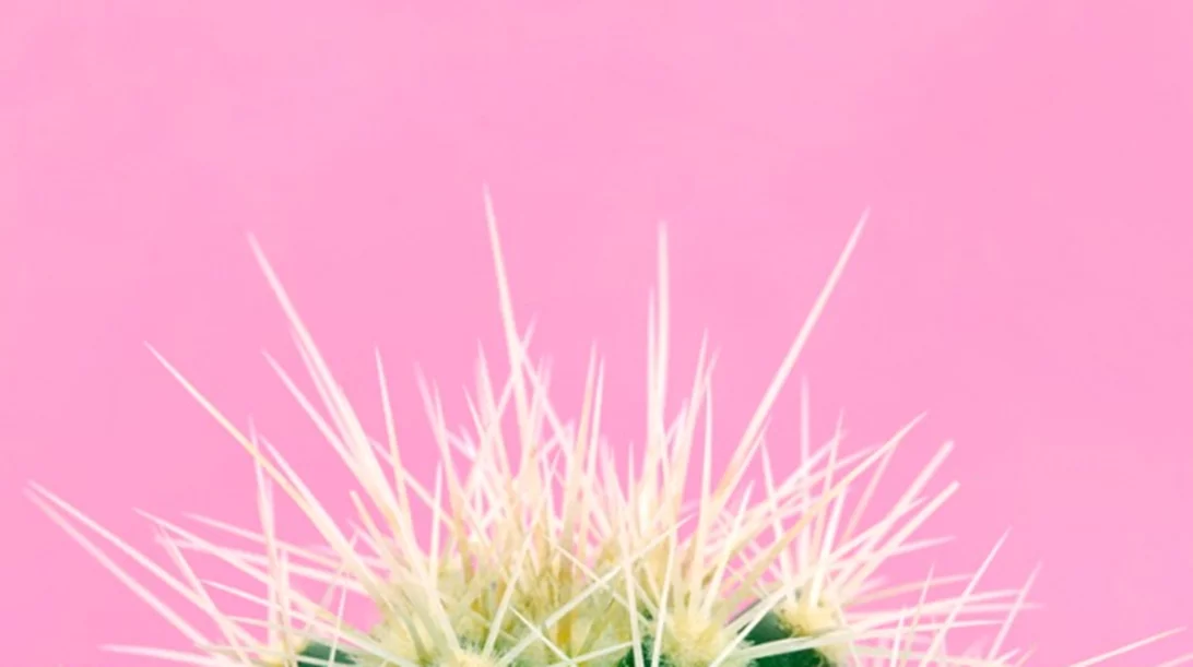 Αιμορροΐδες: Οι απαντήσεις σε όσα ντρέπεσαι να ρωτήσεις