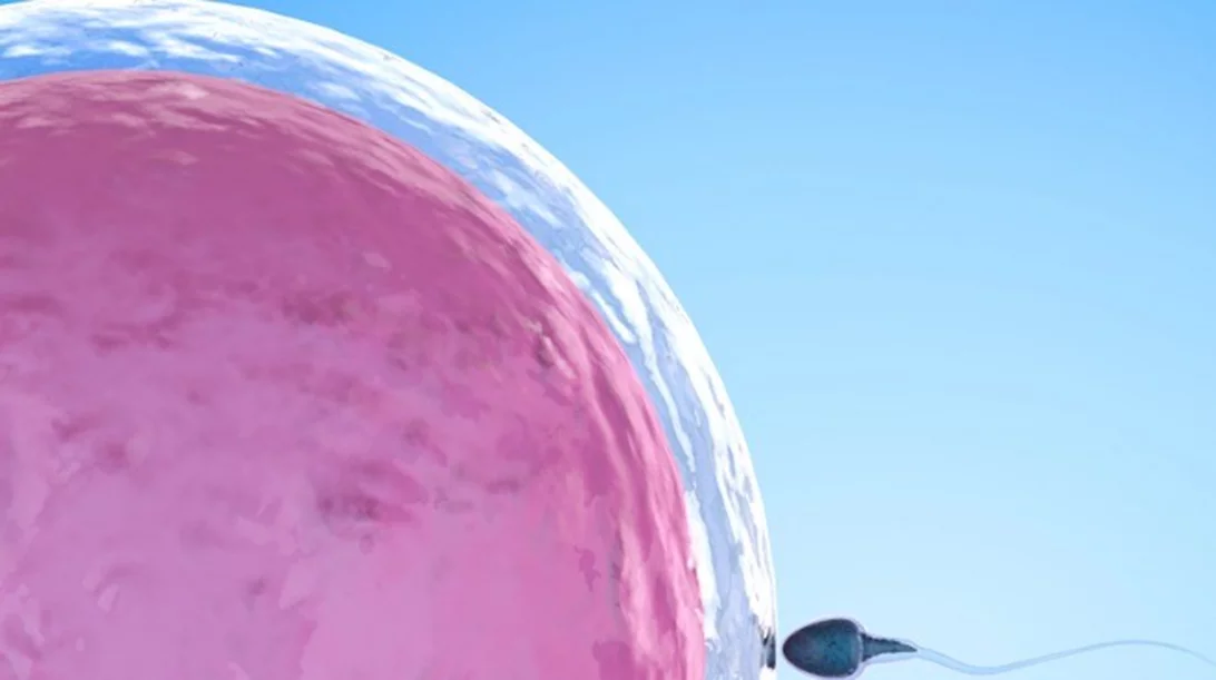 Τι είναι η Mini IVF και πότε προτείνεται;