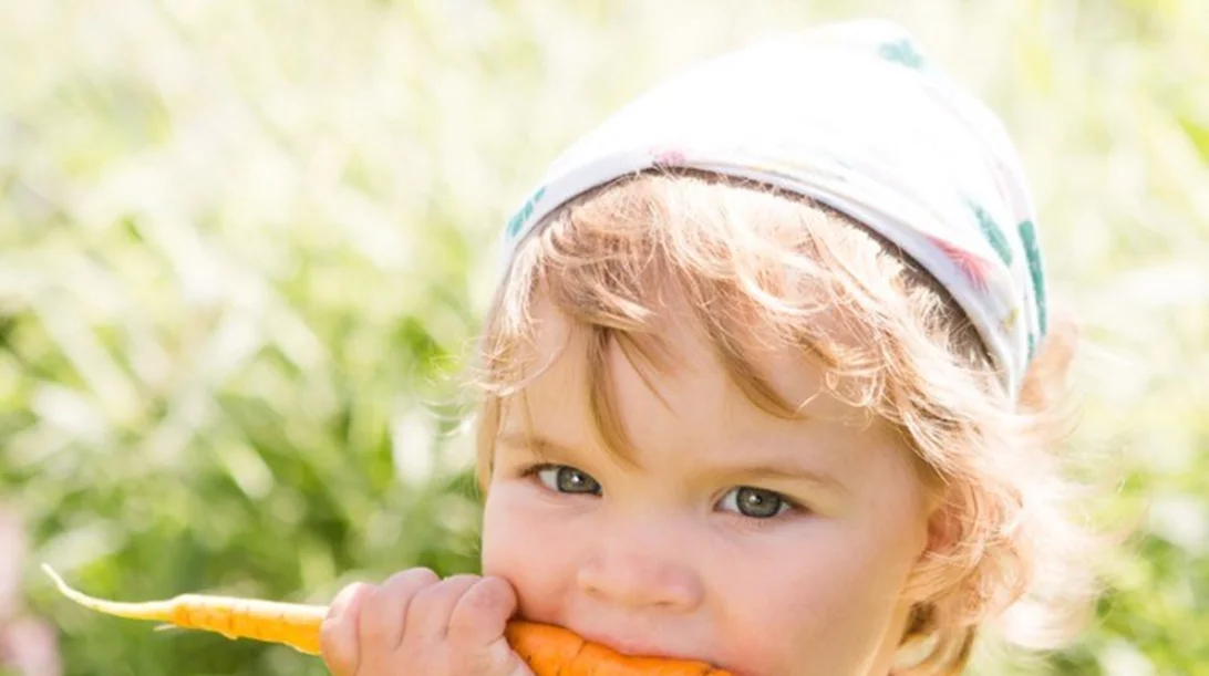 Ντιπ χούμους: Αυτός είναι ο πιο διασκεδαστικός τρόπος να φάει το μικρό σου τα λαχανικά του