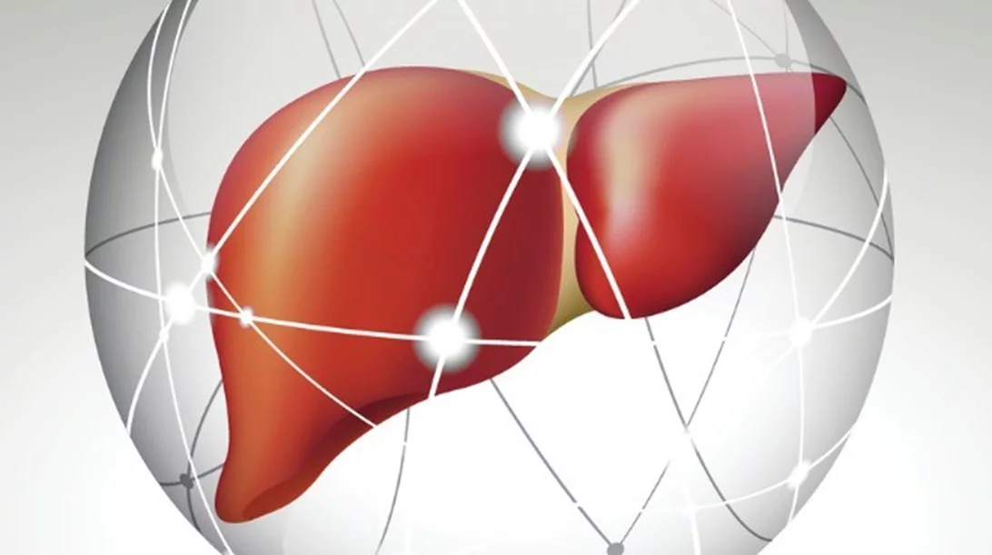 Αλκοόλ, λιπώδης νόσος του ήπατος και ηπατίτιδα