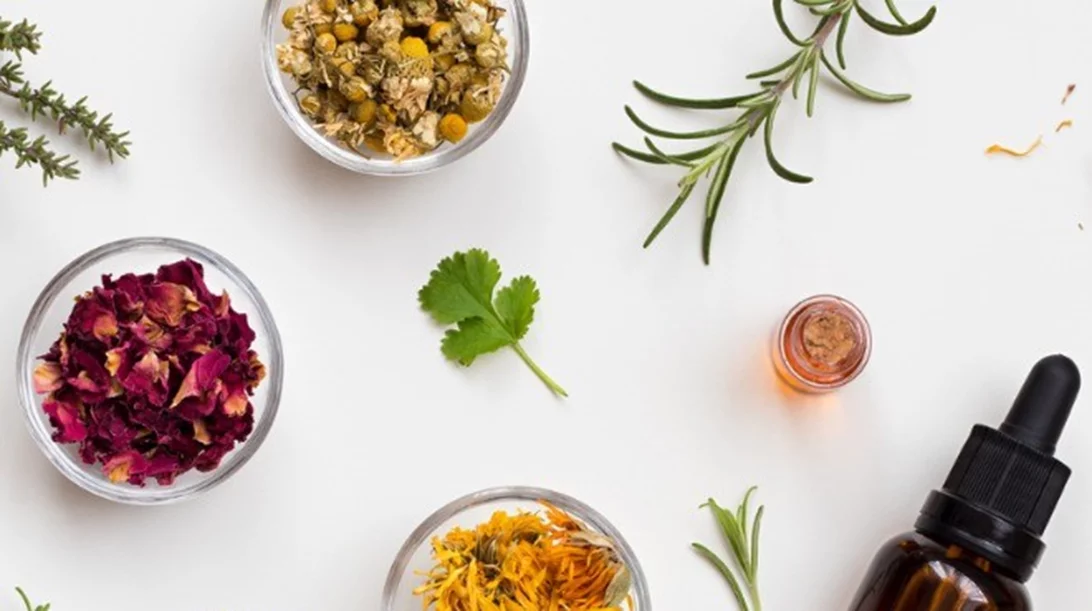 Ποια βότανα λειτουργούν ως φυτικά φάρμακα και για ποιες παθήσεις να τα προτιμήσεις