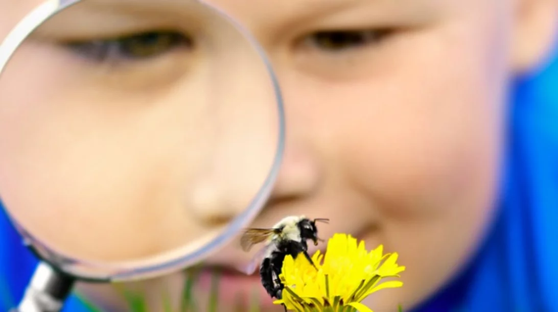 Τσίμπημα σφήκας και μέλισσας: Μάθε τα sos από τον παιδίατρο
