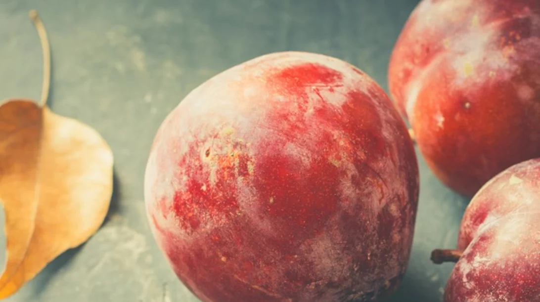 Ποια είναι τα λαχανικά και τα φρούτα του Σεπτεμβρίου;