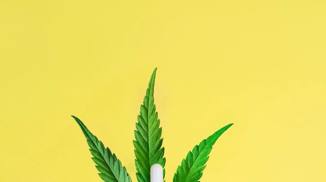 Συμπλήρωμα διατροφής με έλαιο κανναβιόλης CBD: Τι να γνωρίζεις προτού το επιλέξεις