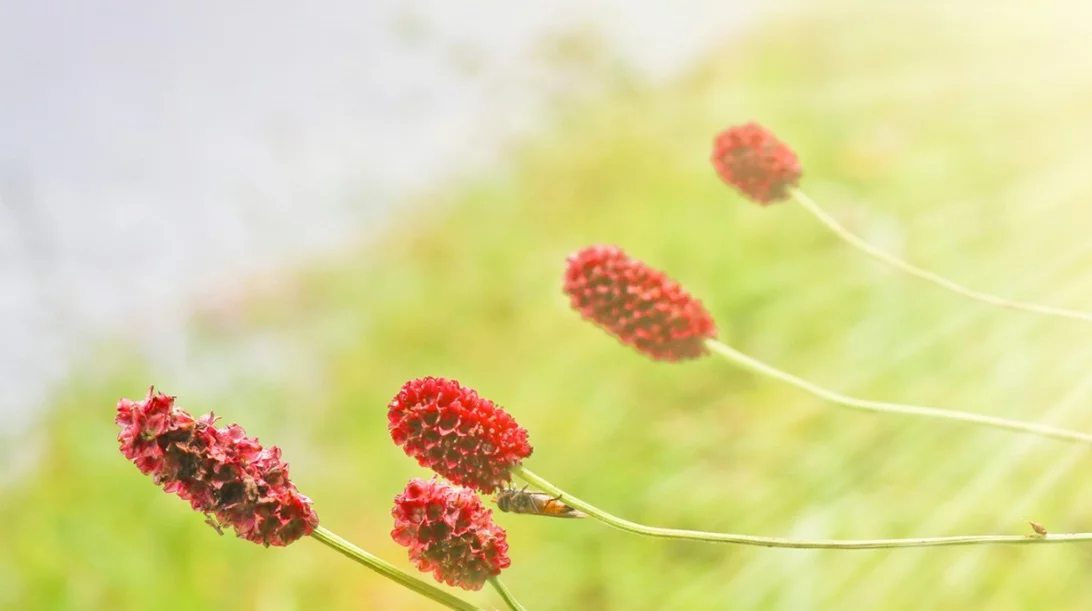 Η ζωή με αιμορροφιλία - Όσα πρέπει να γνωρίζεις εάν έχεις διαγνωστεί με αυτή την πάθηση
