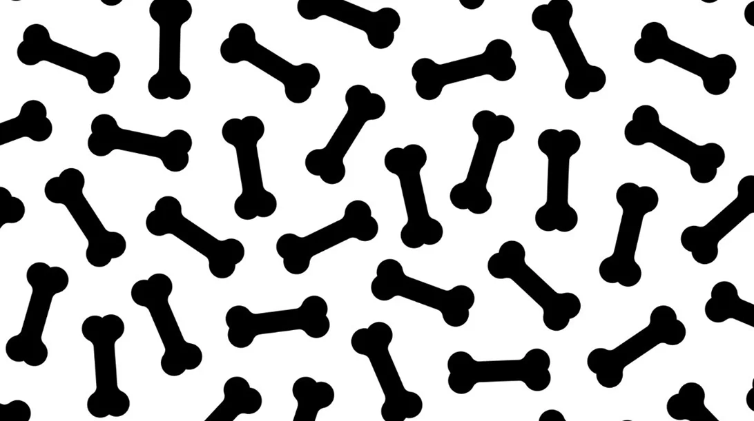 Γερά οστά SOS: 1 στις 2 γυναίκες θα υποστεί κάταγμα λόγω οστεοπόρωσης