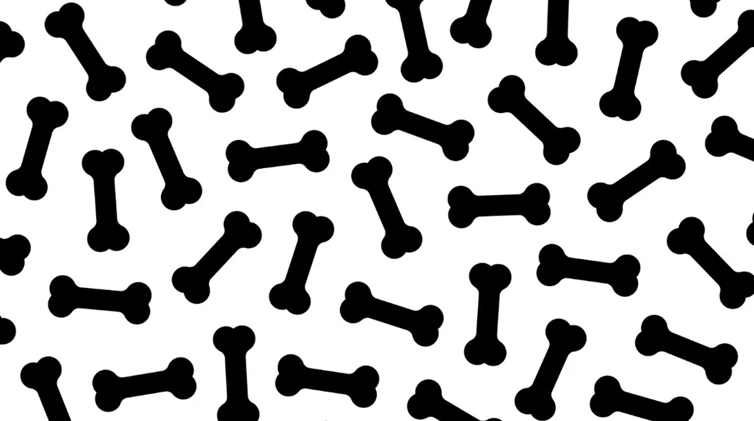 Διπλάσια έως το 2050 τα κατάγματα ισχίου: Ποιοι κινδυνεύουν και γιατί