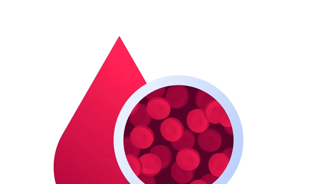 Τι είναι: Τριγλυκερίδια, κορεσμένα, πολυακόρεστα και μονοακόρεστα λιπαρά