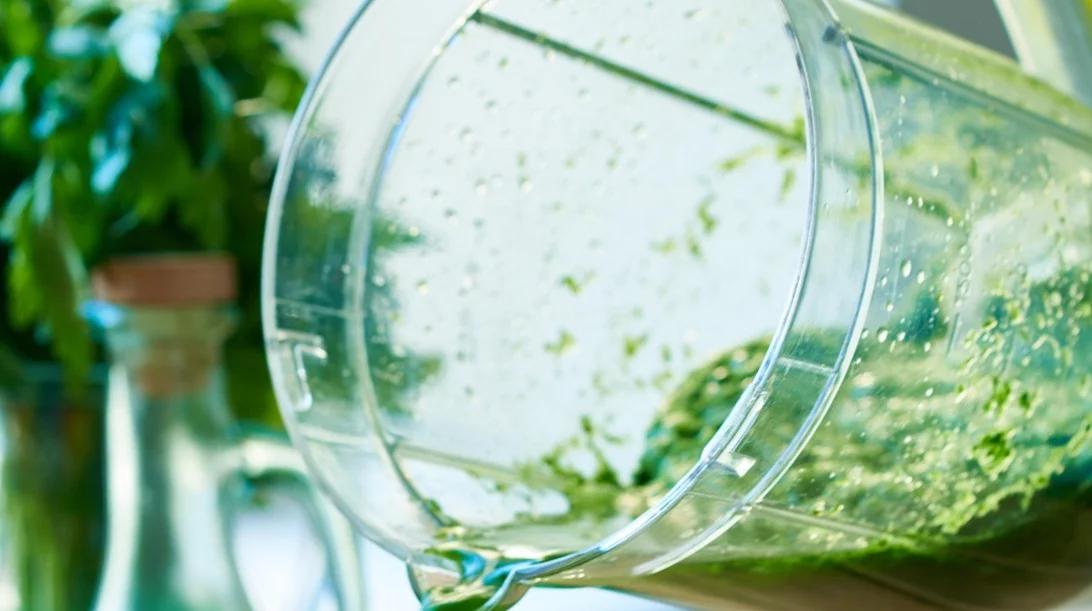 Μετά την αποτοξίνωση: Οι καλύτερες συμβουλές για να επανέλθεις στην κανονικότητα χωρίς να πάρεις πάλι τα κιλά