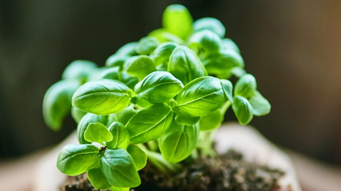 Η Wise Greece βραβεύτηκε από τον Οργανισμό Ηνωμένων Εθνών και την Παγκόσμια Τράπεζα