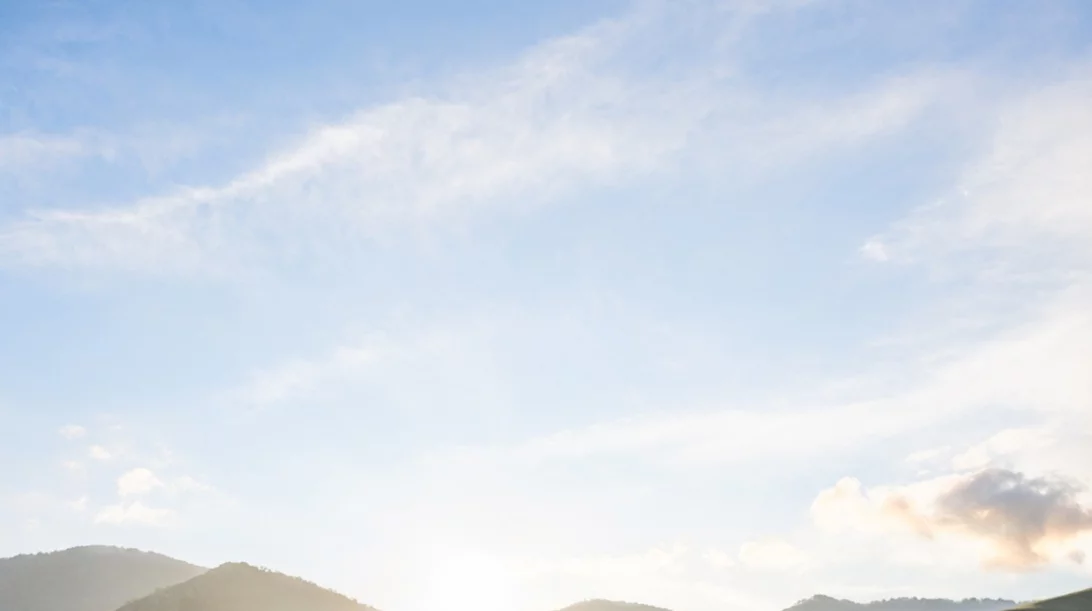 Τα «πικρά» βότανα του Flor·Essence δρουν συνεργικά για να  υποστηρίξουν την υγεία και το ανοσοποιητικό μας