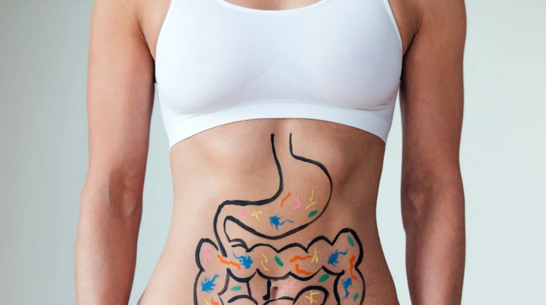 Λεπτό και παχύ έντερο: Όλα όσα πρέπει να ξέρεις