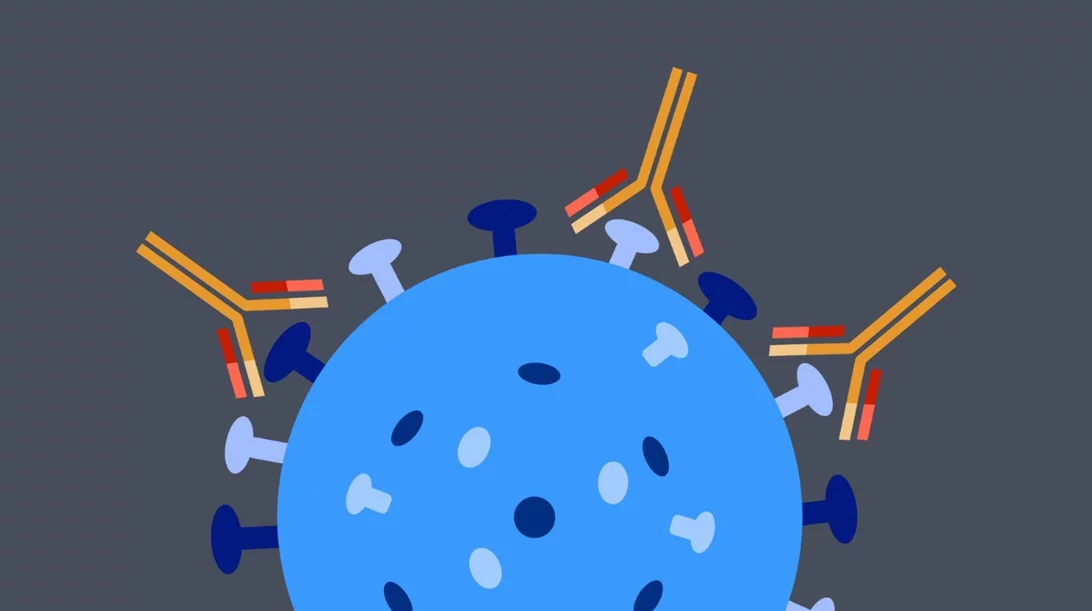 Μελέτη ΕΚΠΑ: Πόσα αντισώματα αναπτύσσουν άνθρωποι 25-67 ετών μετά τη α' δόση του εμβολίου