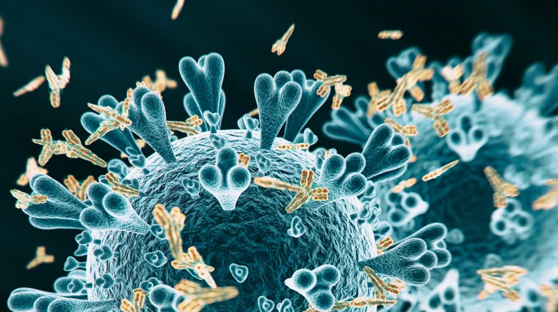 Νέα έρευνα: το 49% ανθρώπων θετικών σε αντισώματα δεν ήξεραν ότι έχουν περάσει κορονοϊό - ούτε καν υποψιάζονταν ότι έχουν κολλήσει